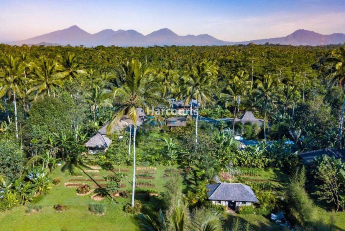 VILLA FOR SALE IN BALI FOR EVERY BUDGET