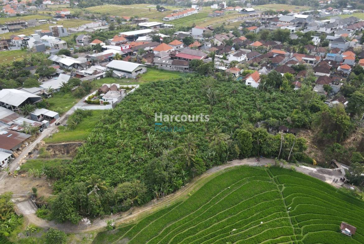 Pererenan Bali Land Plot