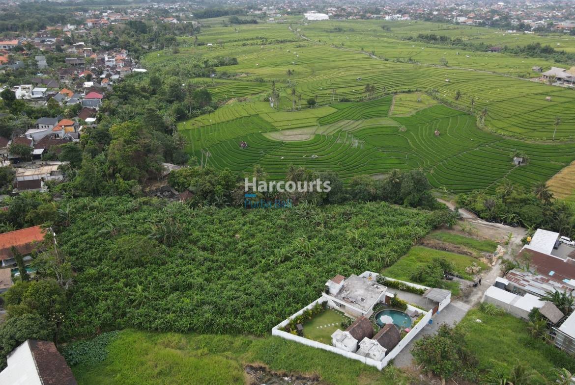 Pererenan Bali Land Plot
