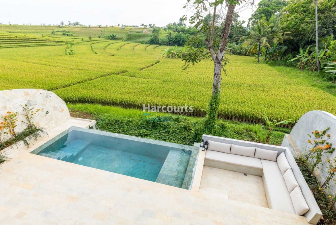 Perfect Work from Home Villa in Tabanan Bali with rice field views