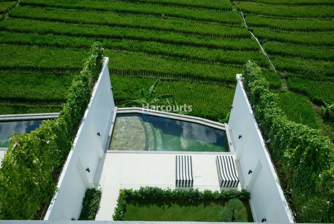 Family Home Luxury Living Canggu Bali for Sale