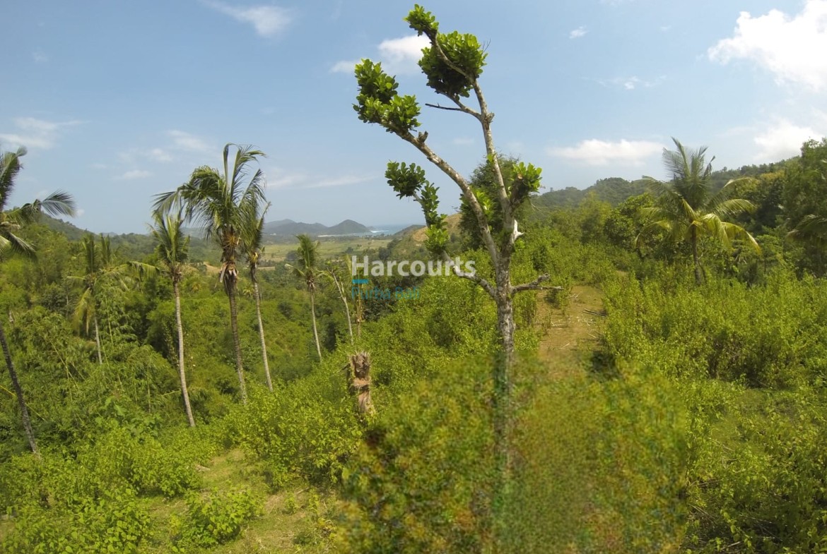 Great Real Estate Investment Opportunity in Lombok, Hilltop Land with Ocean View of South Lombok