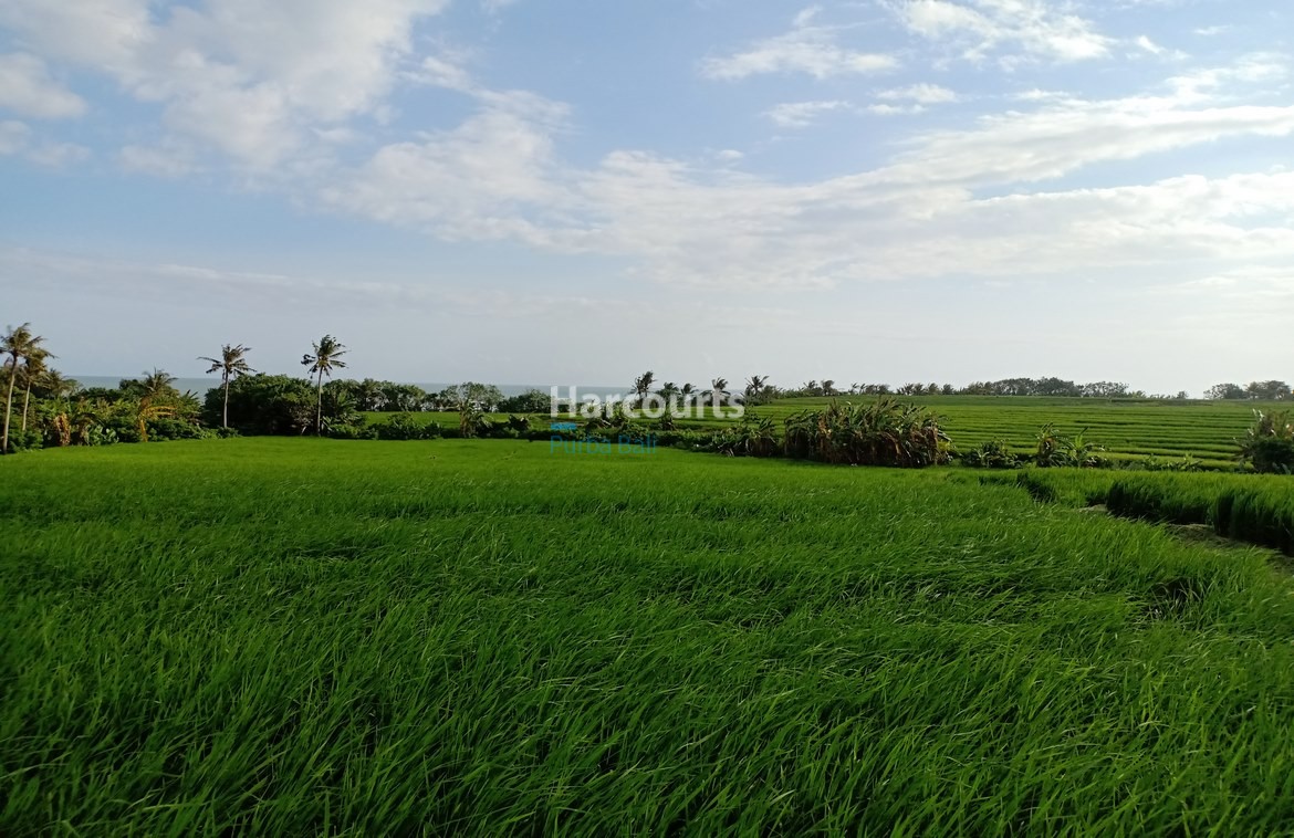Tabanan Bali Beachfront Land Freehold