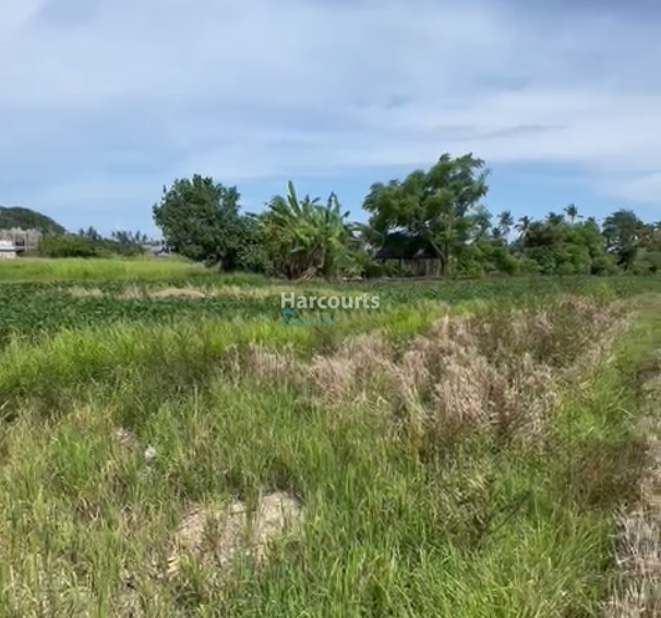 Bali Land Near the Coast of Seseh for Sale