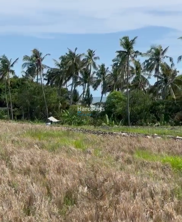 Bali Land Near the Coast of Seseh for Sale