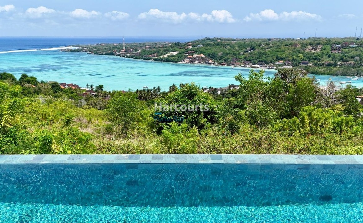 3rd Timbers Feel View