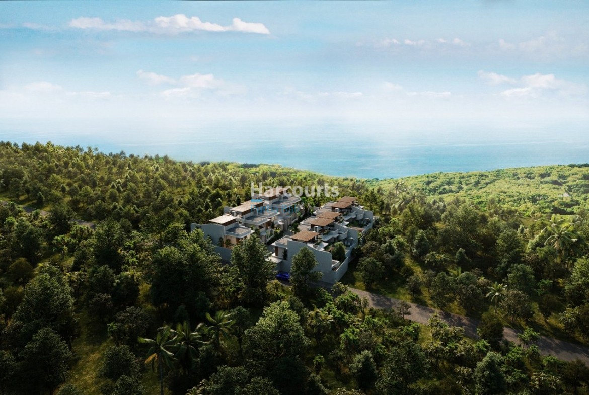 Experience Relaxed Modern Tropical Pool View