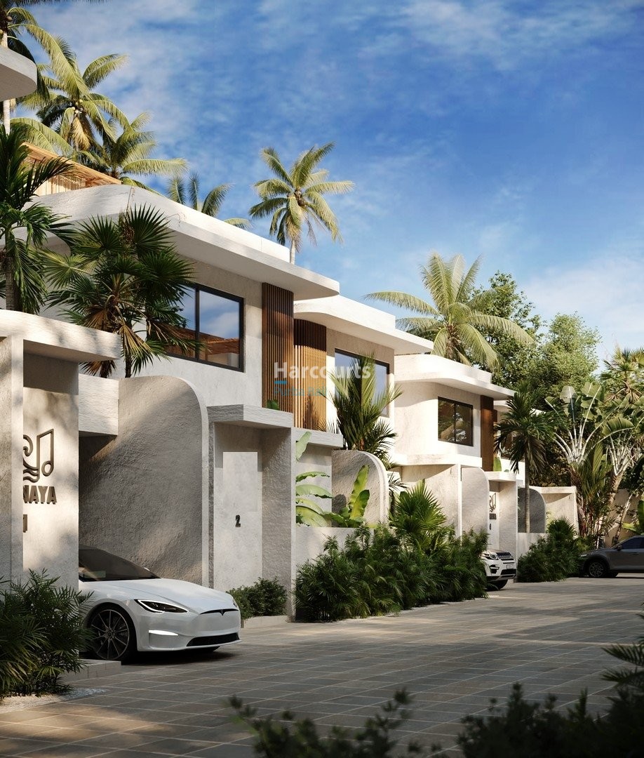 Experience Relaxed Modern Tropical Swimming Pool