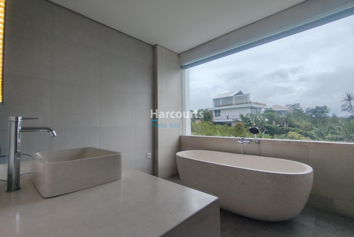 Green Title Tropical Plot This