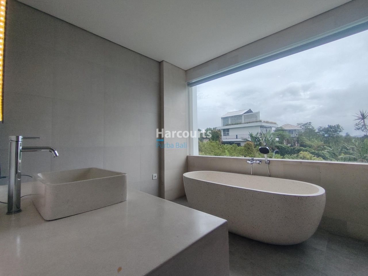 Green Title Tropical Plot This