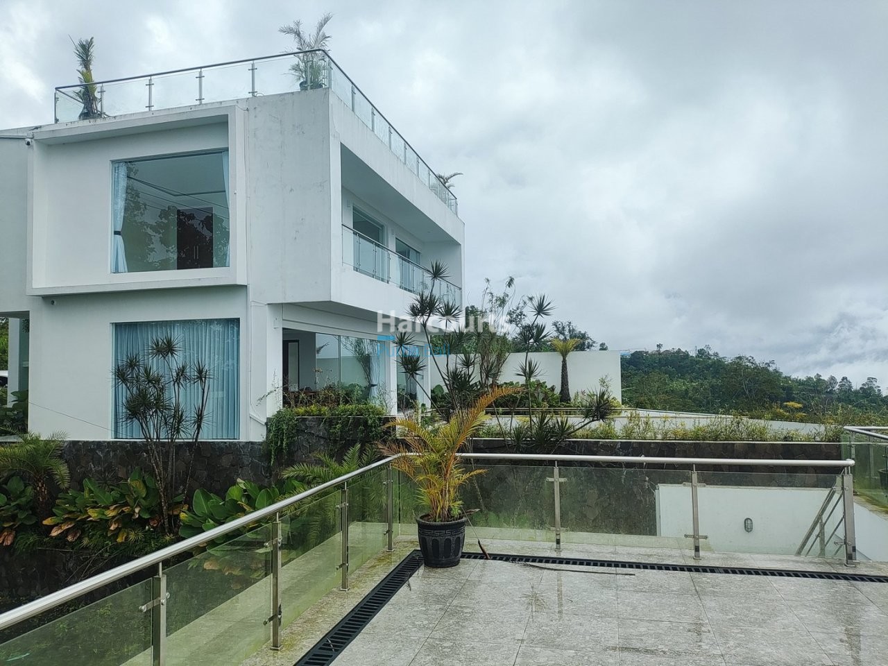 Pool Harcourts Green Immerse Enjoy