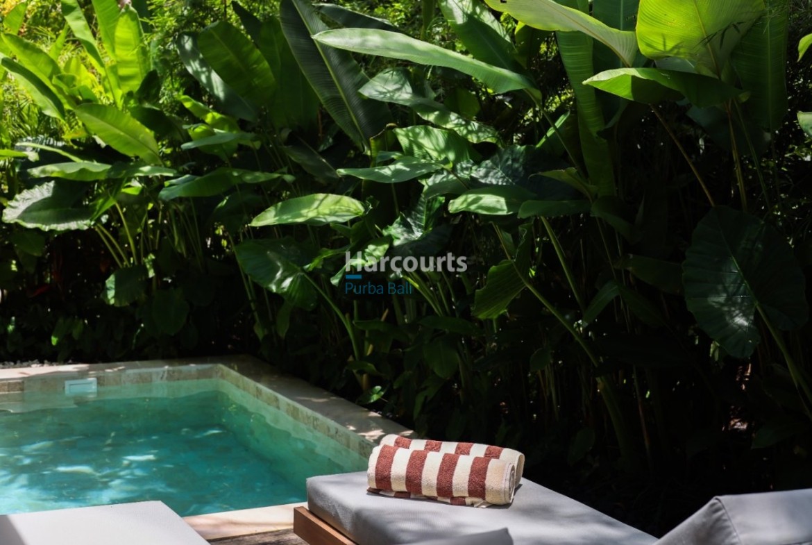 Property In The Heart Of Peca 69310b4c5ff98