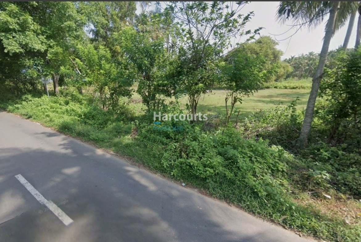 exceptional-freehold-hak-milik-tropical-modern