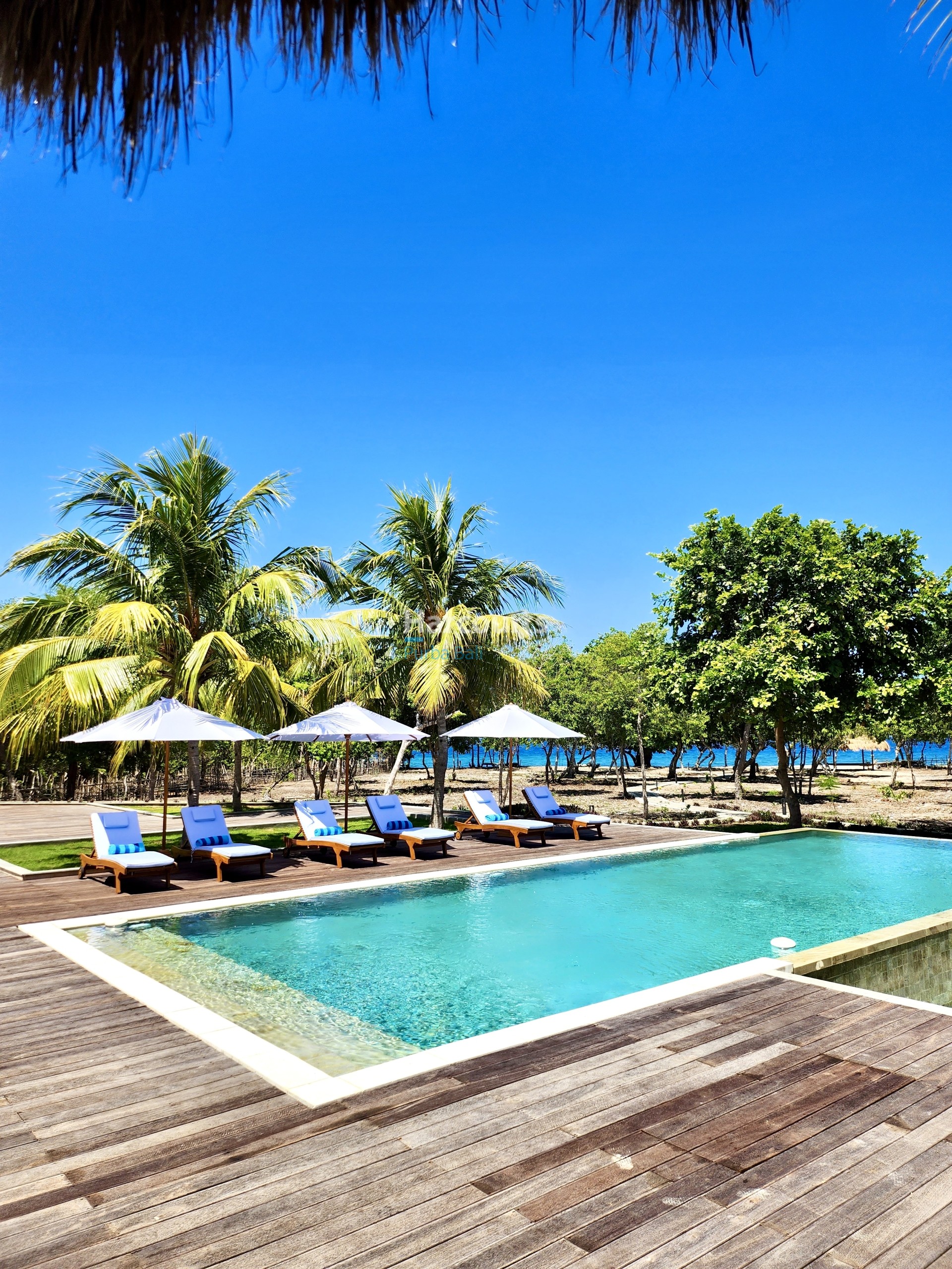 opportunity-purchase-freehold-resort-swimming-pool-day