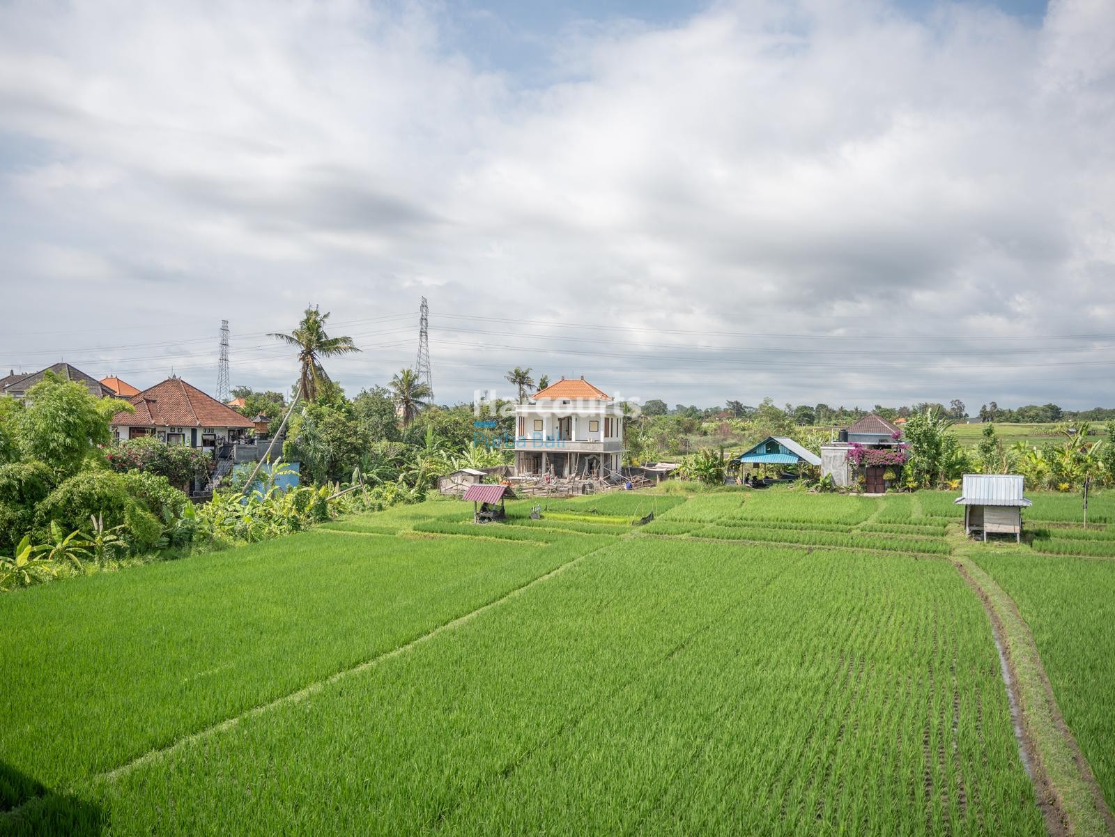 located-serene-cepaka-this-ricefield-view
