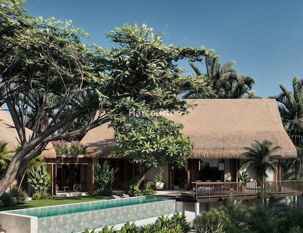 Kaba Kaba Villa Thatched Roof Pool Jungle Outlook