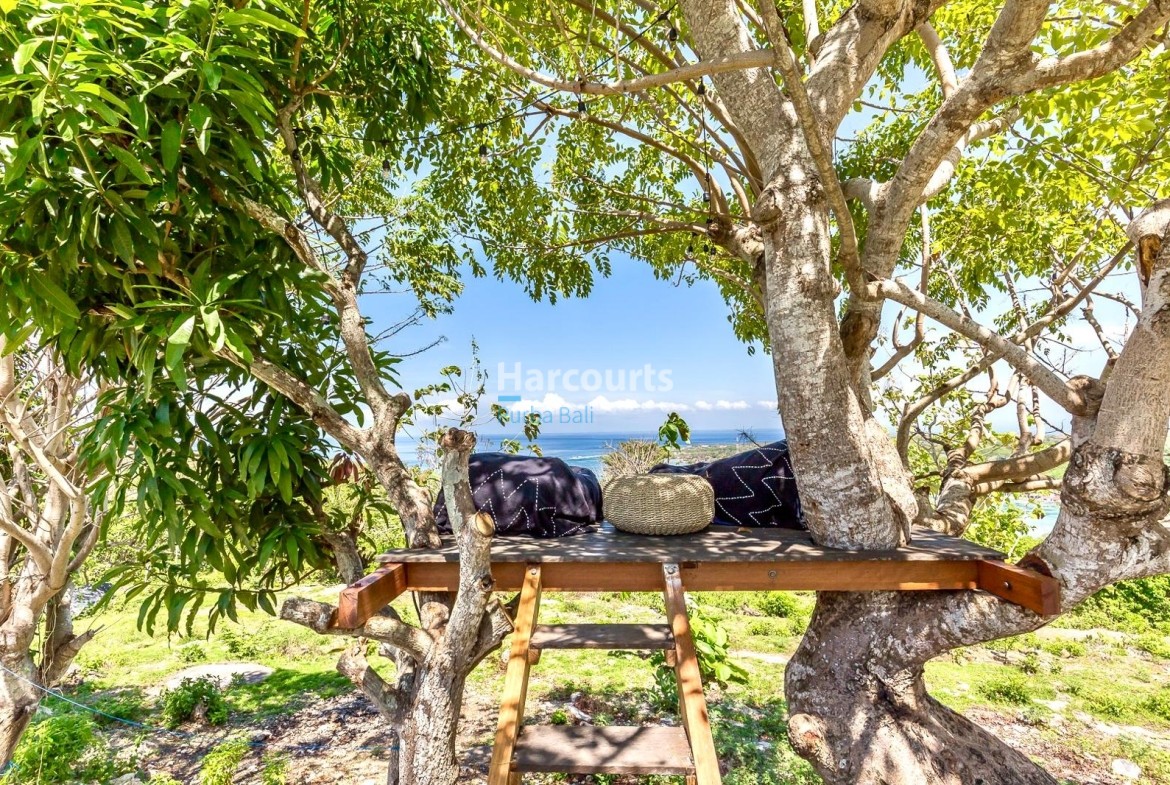 Whatsapp Image 2026 01 14 At 3 55 00 Pm 3