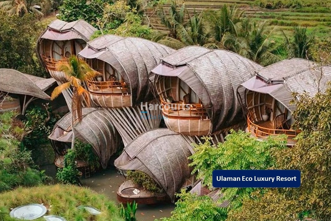 Located Kaba Kaba Tabanan Property Investment 4