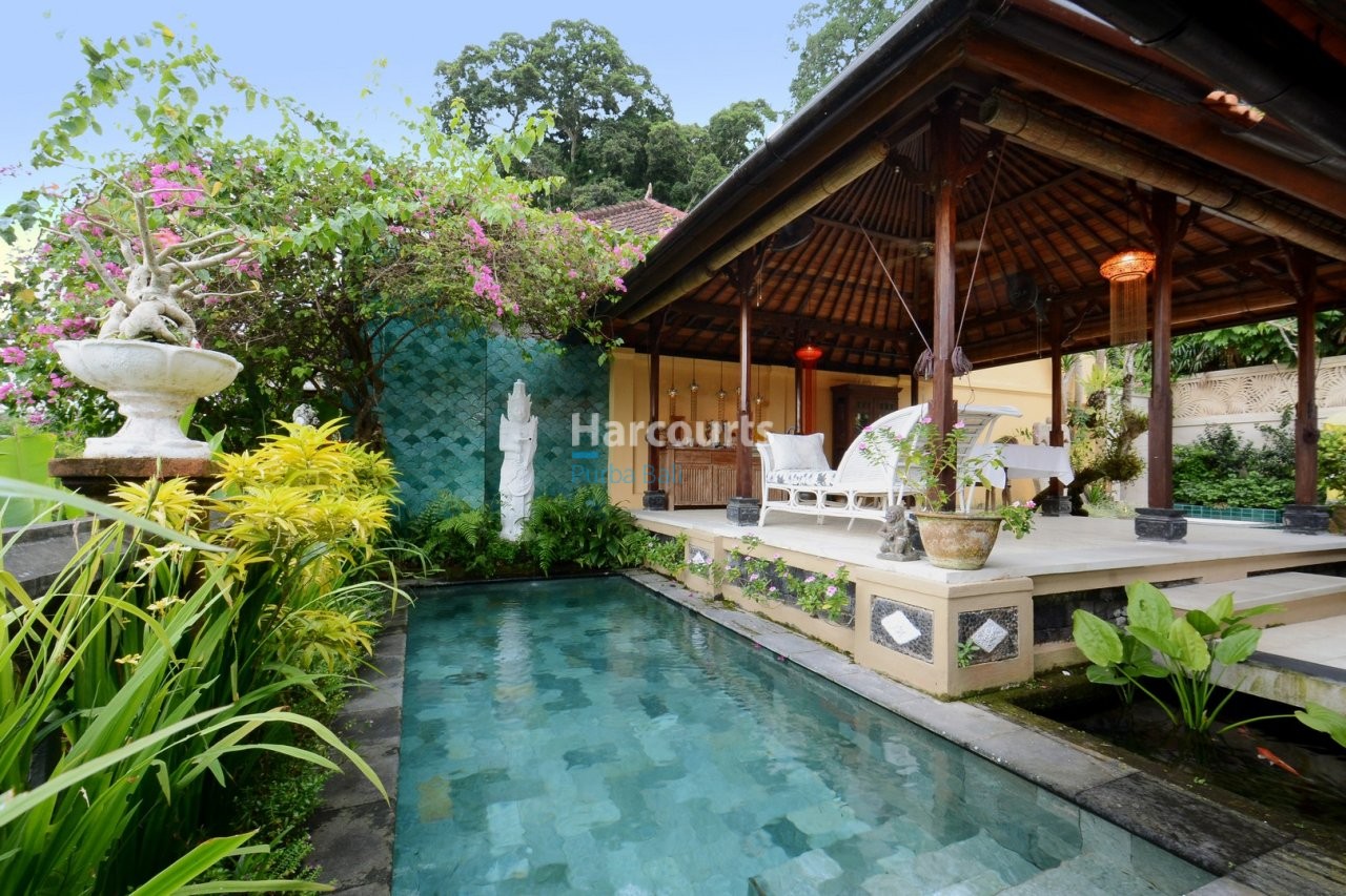 First Time Years Property Swimming Pool