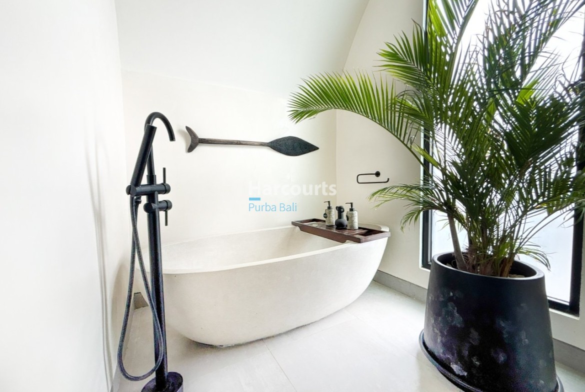 Part Bali Where Land Property Investment 1