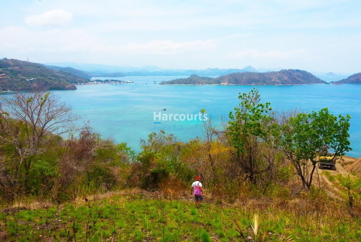 Waicicu Freehold Hak Milik For Sale