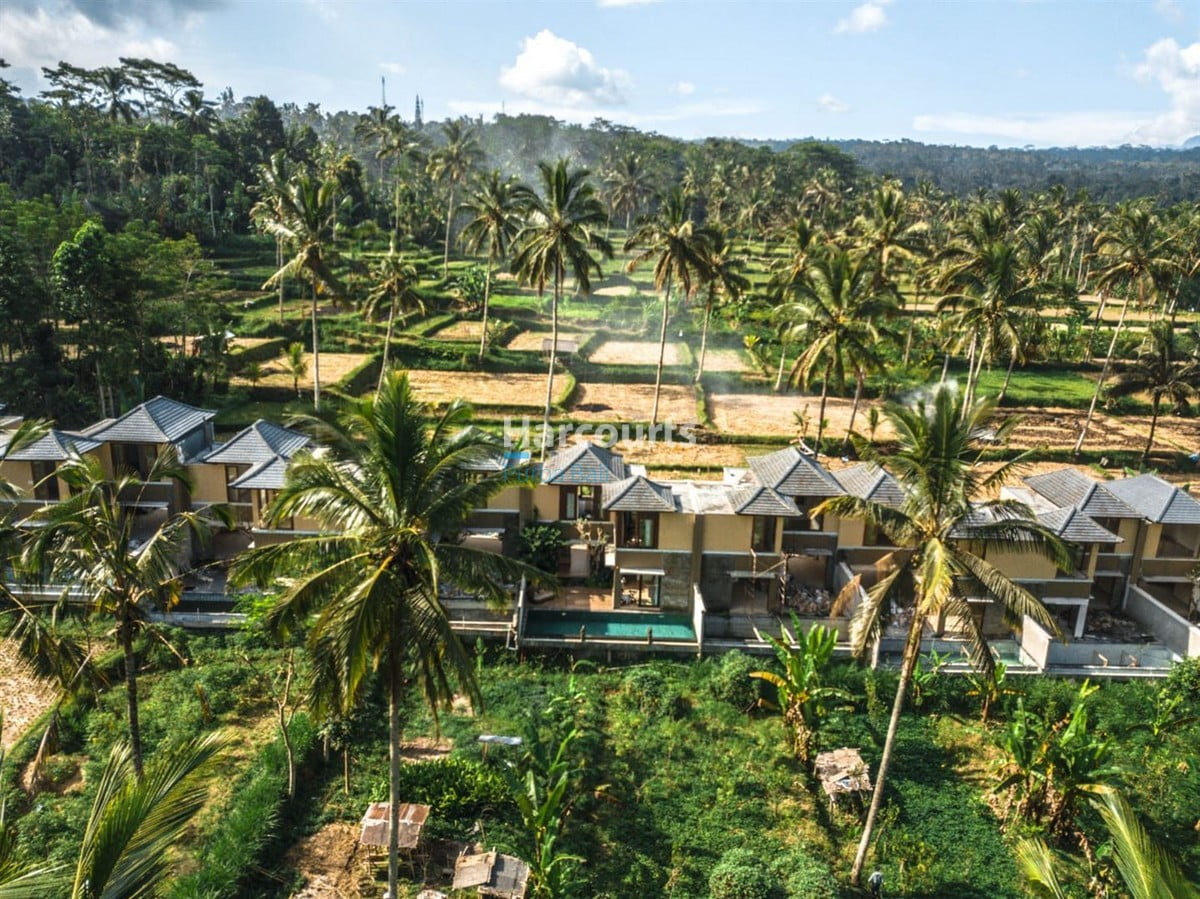 House For Sale in Bali at Affordable Prices