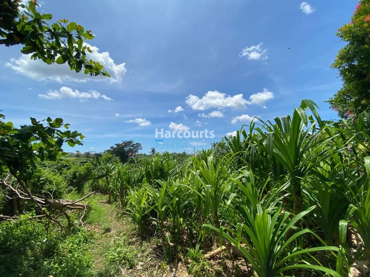 BALI REAL ESTATE: 10 REASONS TO INVEST IN BALI