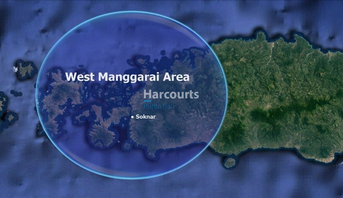 161 Hpc8010 East Flores