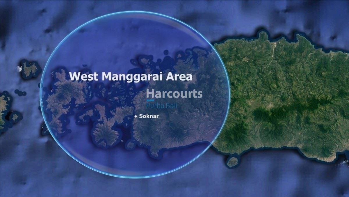 161 Hpc8010 East Flores