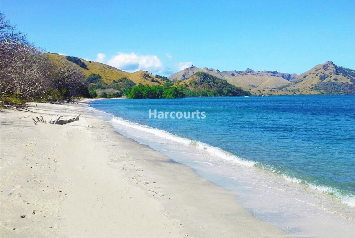 flores-has-long-been-real-estate