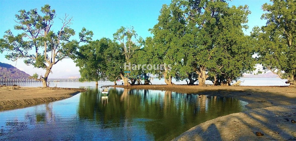 flores-has-long-been-ocean-breeze