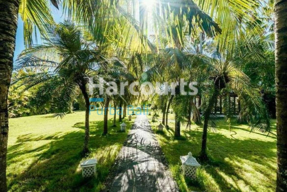 Pererenan Bali Villa Freehold - 5-Bedroom Contemporary Beauty