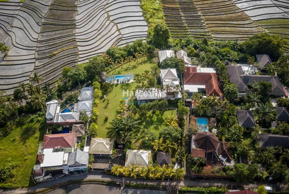 Pererenan Bali Villa Freehold - 5-Bedroom Contemporary Beauty