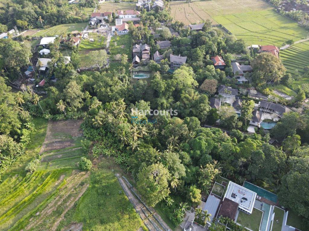 5 Tips to Find a Cheap House for Sale in Bali for Under $150,000