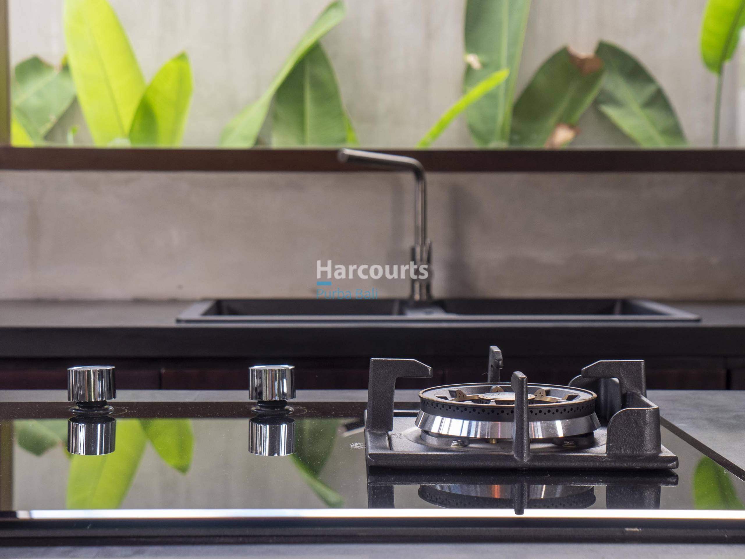 Mikefrost 2023 Lowresp1488590