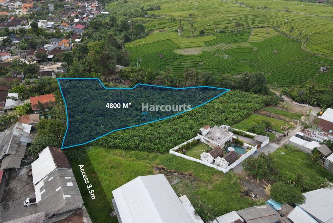 Pererenan Bali Land Plot
