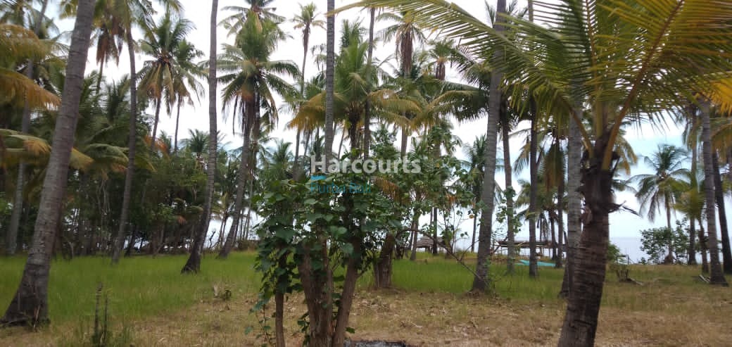 Karangasem Amed Bali Land for sale Freehold