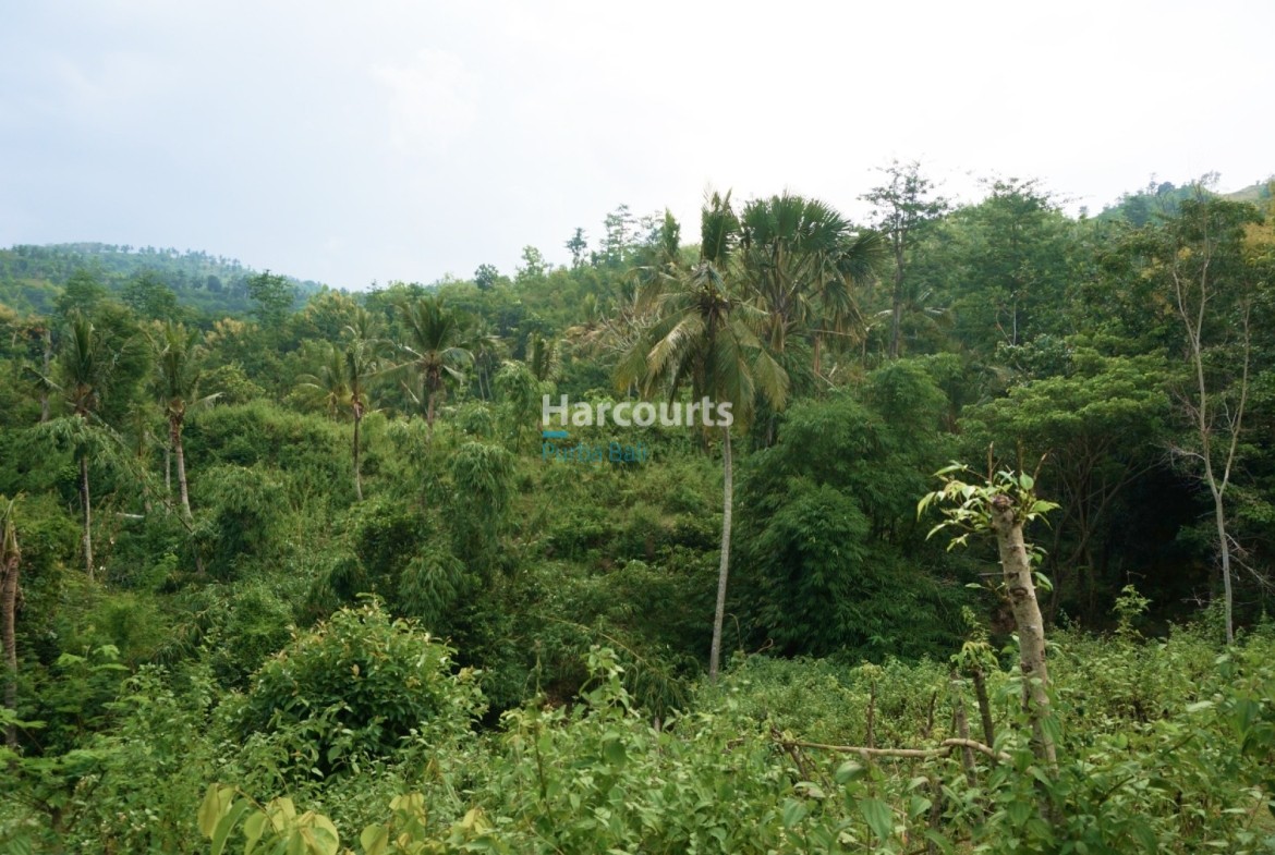 Great Real Estate Investment Opportunity in Lombok, Hilltop Land with Ocean View of South Lombok