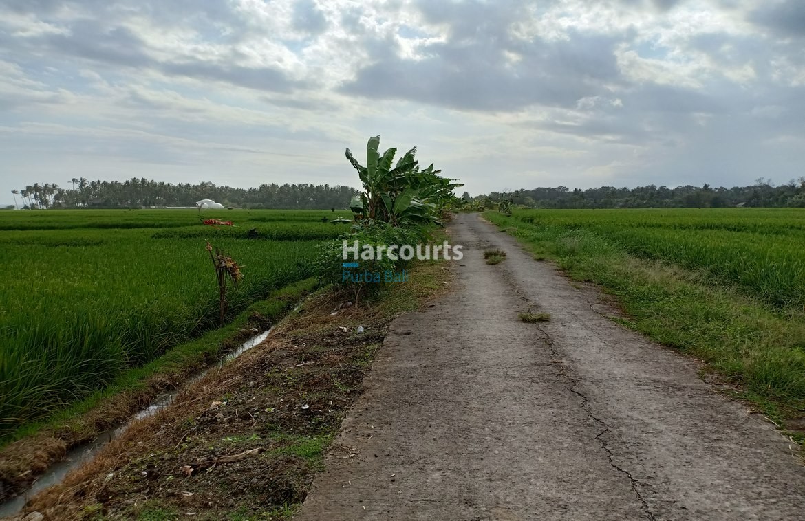 Access Road Tabanan Bali Beachfront Land Freehold