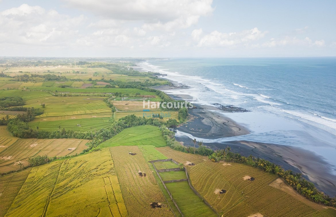 Tabanan Bali Beachfront Land Freehold