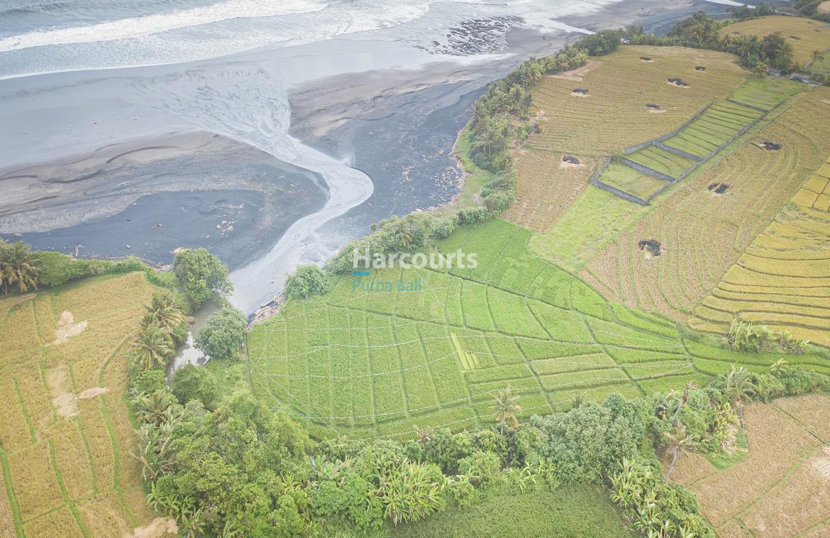 Tabanan Bali Beachfront Land Freehold