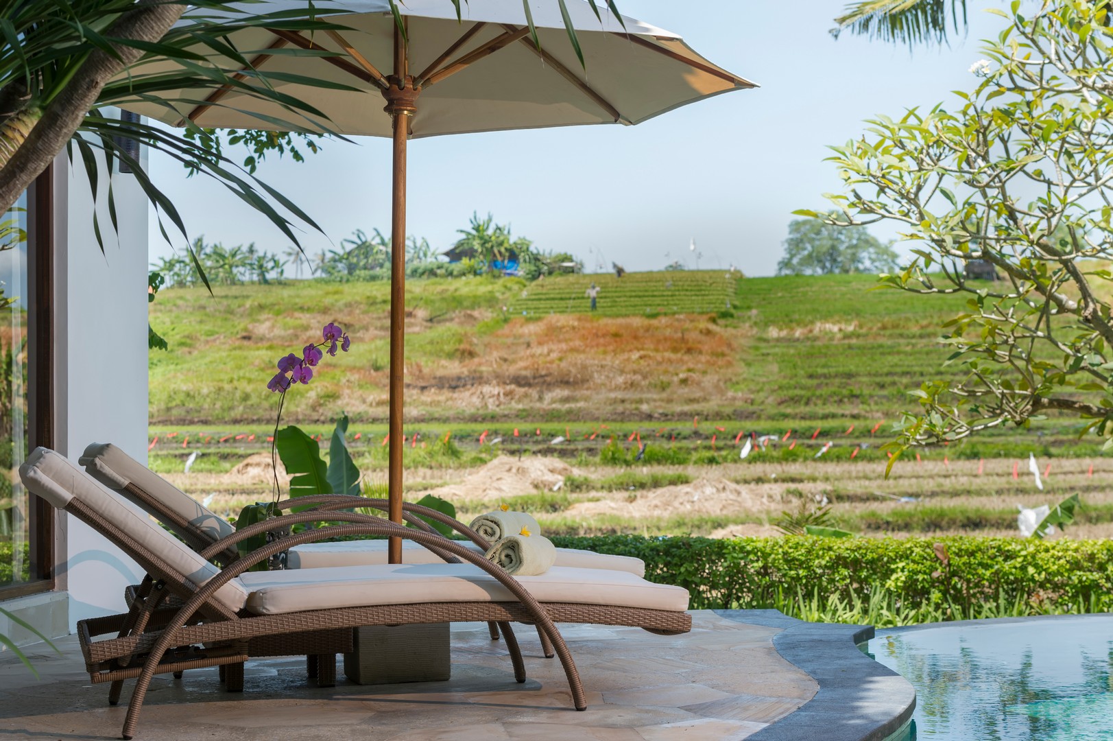 2-Bedroom Tumbak Bayu Canggu Bali Villa