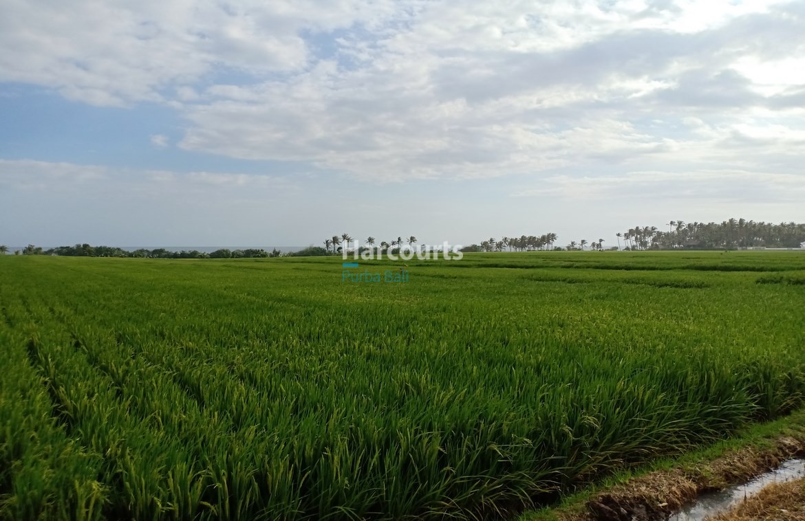 Tabanan Bali Beachfront Land Freehold
