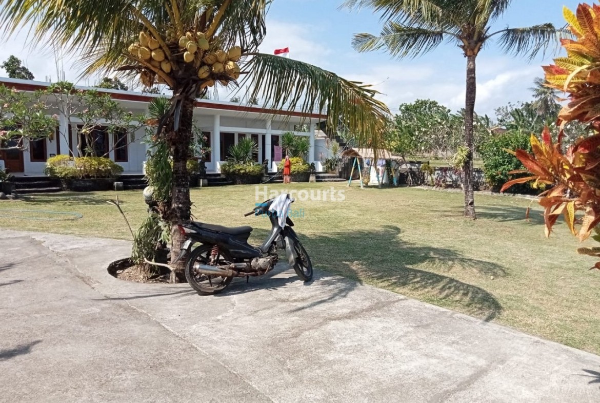 Located Medewi This Freehold Ricefield View