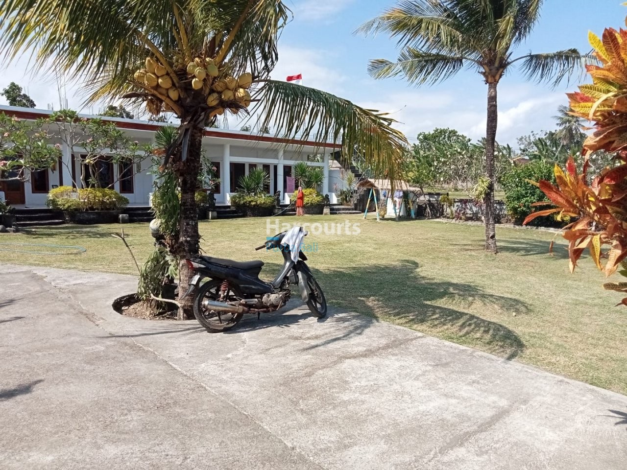 Located Medewi This Freehold Ricefield View