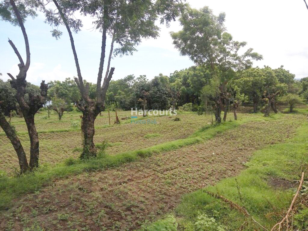 Prime Tulamben Beachfront Land for Sale North Bali