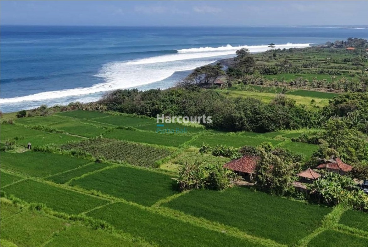 Pantai Klotok Beach Front 25 11 Page 01