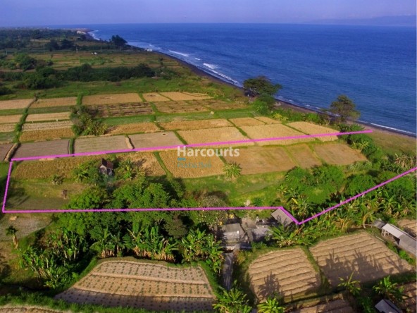 Pantai Klotok Beach Front 25 11 Page 04