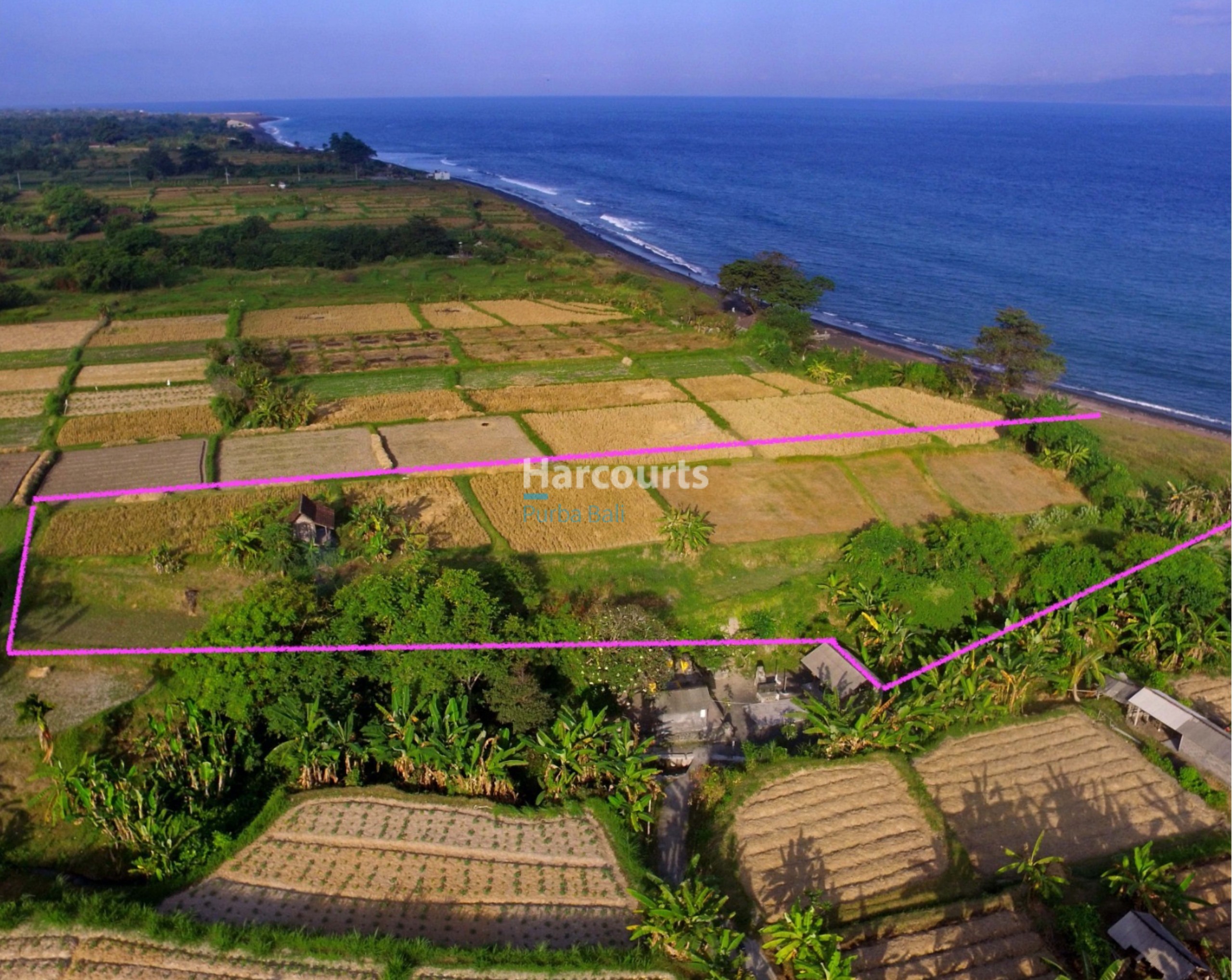 Pantai Klotok Beach Front 25 11 Page 04