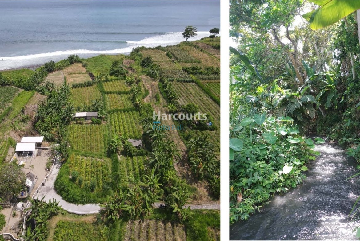 Pantai Klotok Beach Front 25 11 Page 05